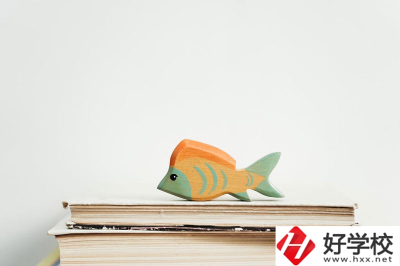 長沙市英藍(lán)中等職業(yè)學(xué)校學(xué)費多少？貴不貴？