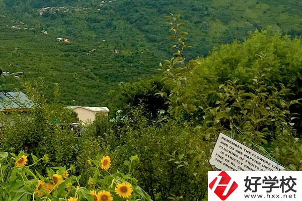 長(zhǎng)沙公辦中職學(xué)校好不好？都有哪些學(xué)校？