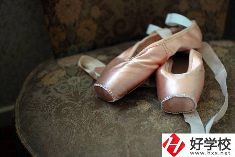 湖南省體育運(yùn)動學(xué)校有舞蹈表演專業(yè)嗎？