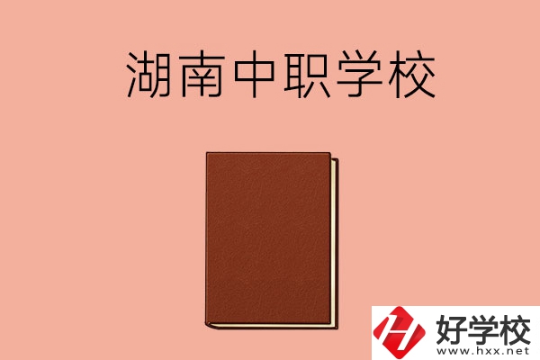 湖南有哪些就業(yè)率比較高的中職學校？