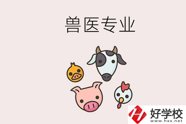 湖南哪些職校能學(xué)獸醫(yī)專業(yè)？學(xué)獸醫(yī)前景怎么樣？