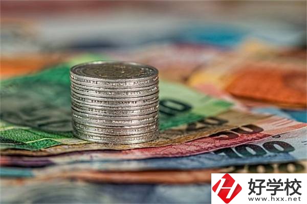 湖南職校會(huì)計(jì)電算化專業(yè)怎么樣？就業(yè)前景好不好？