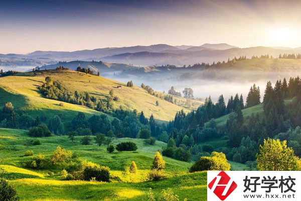 衡陽的中專學(xué)校有哪些新開設(shè)的專業(yè)？