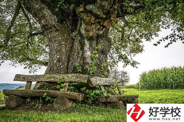 湖南特教中等專業(yè)學(xué)校有專業(yè)、資助政策。