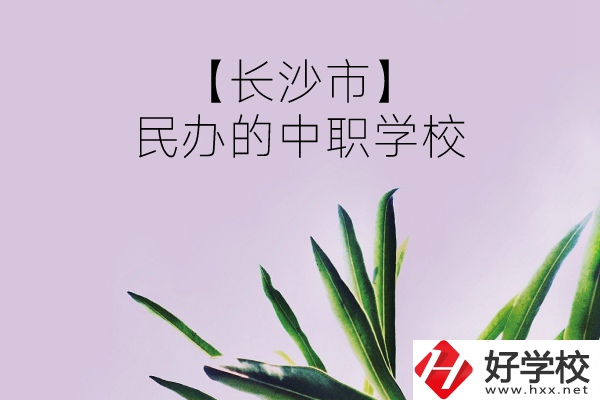 長沙市有哪些民辦的中職學(xué)校？
