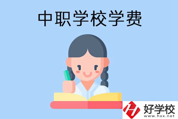 懷化地區(qū)公辦中職學(xué)校學(xué)費(fèi)怎么樣？有哪些資助政策？