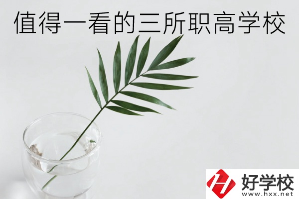 湖南有什么好的職高學(xué)校？這3所學(xué)校值得一看！