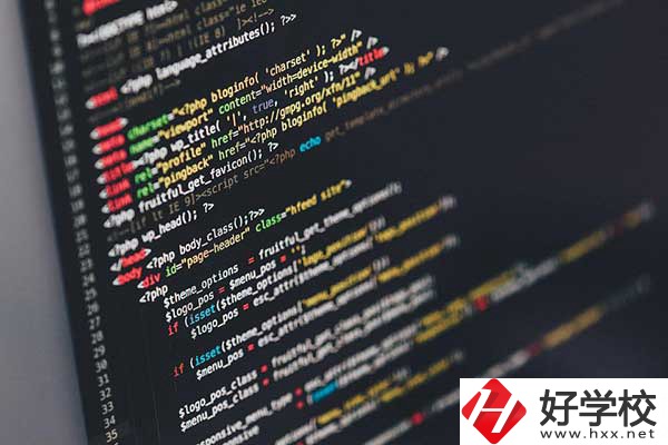 計算機(jī)應(yīng)用專業(yè)