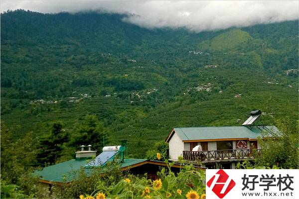 益陽大誠職業(yè)學(xué)校的專業(yè)怎么樣？就業(yè)方向如何？