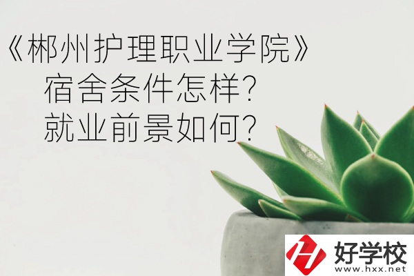 郴州護(hù)理職業(yè)學(xué)院宿舍條件怎樣？就業(yè)前景如何？