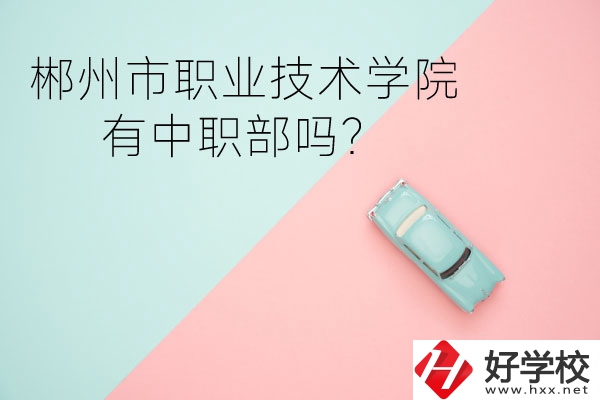 郴州市職業(yè)技術(shù)學院有中職部嗎？