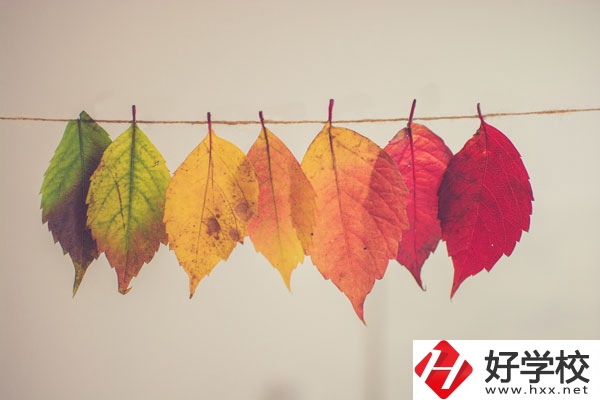 長沙益立中等職業(yè)學(xué)校有哪些特色專業(yè)？