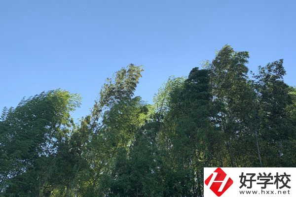 張家界協(xié)力技工學(xué)校好不好？就業(yè)前景怎么樣？