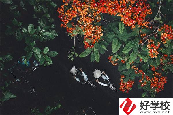 湖南分?jǐn)?shù)低選私立高中還是選職校？選職校還能統(tǒng)考嗎？