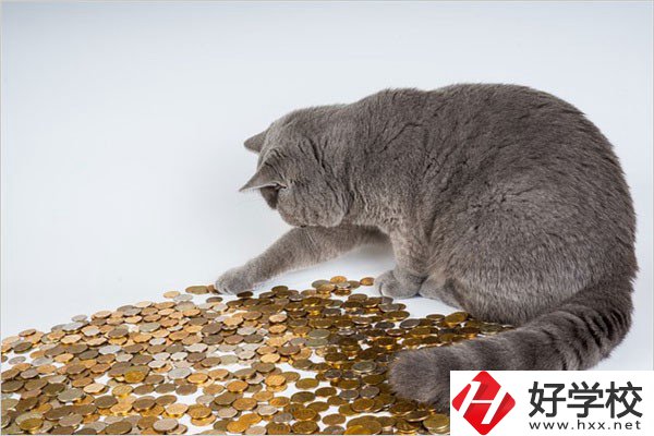邵陽(yáng)的職高一年學(xué)費(fèi)是多少？比較便宜的學(xué)校有哪些？