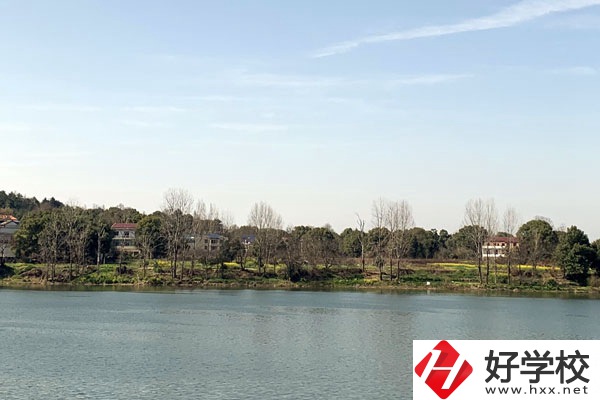 雙峰縣職業(yè)中專學校有哪些招生專業(yè)？