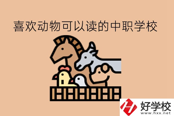 喜歡動物的學生，可以讀這些中職學校!