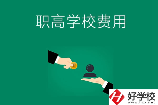 上懷化的公立職高學(xué)校要多少費(fèi)用？