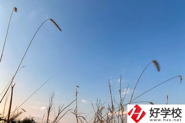邵陽(yáng)市護(hù)理職校是一所怎樣的學(xué)校？