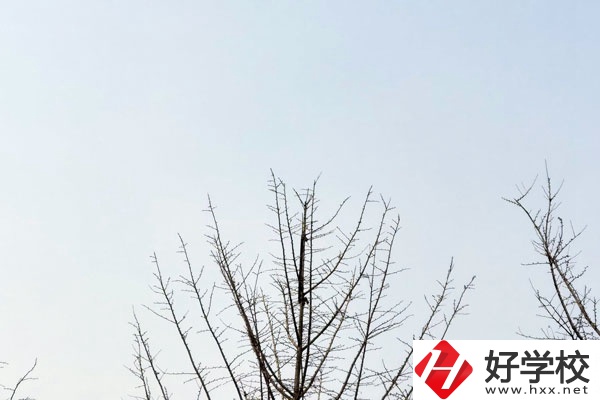 益陽(yáng)第一職業(yè)中專(zhuān)學(xué)校怎么樣？值得報(bào)考嗎?