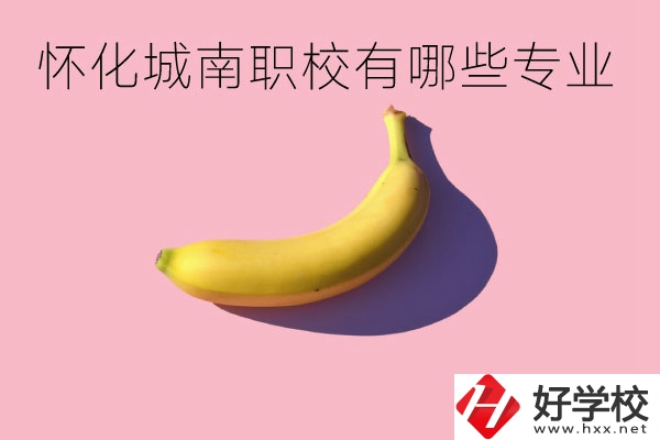 懷化城南職業(yè)學(xué)校有哪些專業(yè)？學(xué)校好不好？