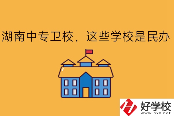 湖南中專衛(wèi)校，這些學(xué)校是民辦!