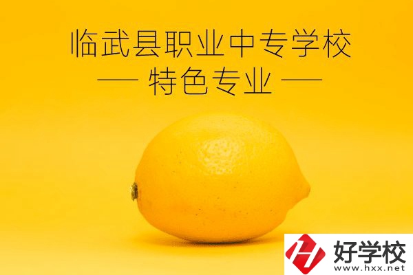 臨武縣職業(yè)中專學(xué)校好嗎？有哪些特色專業(yè)？