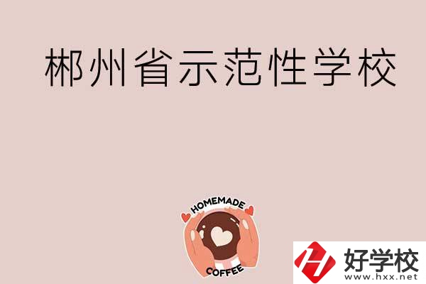 郴州有省示范性的公辦中職學(xué)校嗎？
