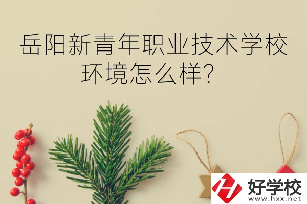 岳陽新青年職業(yè)技術(shù)學(xué)校好不好？環(huán)境怎么樣？