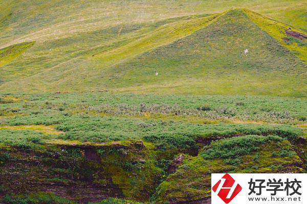 湖南衡南職業(yè)中等專業(yè)學(xué)校好嗎？學(xué)校有什么優(yōu)勢(shì)？