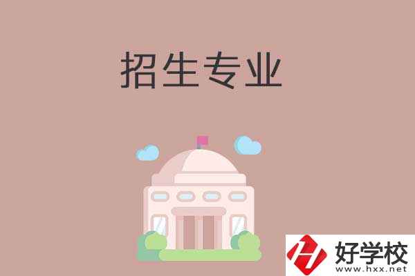 益陽(yáng)有哪些高職院校設(shè)立了中職部？招生專業(yè)有哪些？