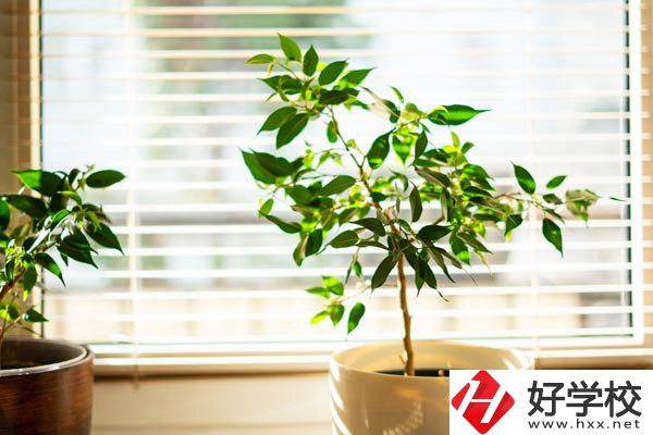 湖南省商業(yè)技師學(xué)院有哪些教學(xué)特色？報(bào)考有何要求？