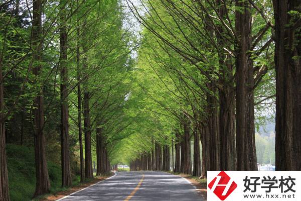 張家界的公辦中職學(xué)校有哪些？