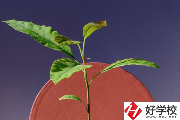 株洲市工業(yè)中等專校怎么樣？好不好？