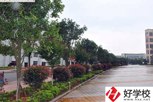 長(zhǎng)沙市電子工業(yè)學(xué)校開(kāi)設(shè)了哪些專業(yè)，附招生要求？