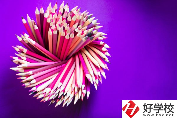 在懷化有什么職校可以學(xué)習(xí)幼師？好不好？