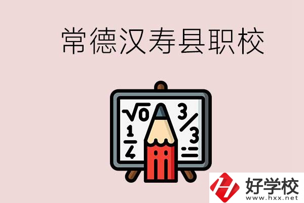 常德的漢壽縣有什么職校？是公辦的嗎？