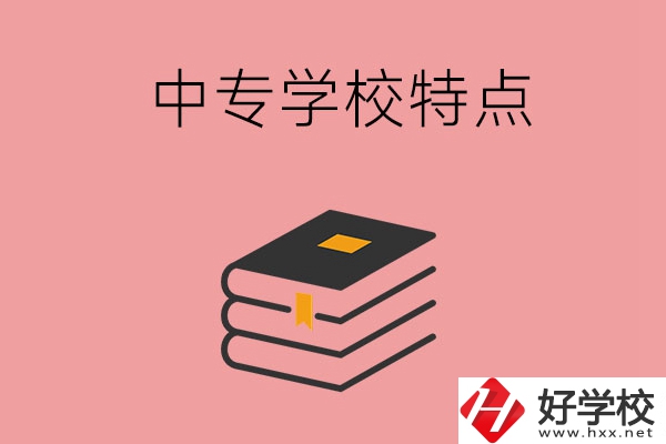 湖南省正規(guī)的中專學(xué)校，具備哪些特點？