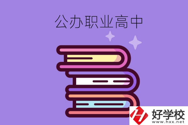 長沙市有哪些公辦職業(yè)高中學校？