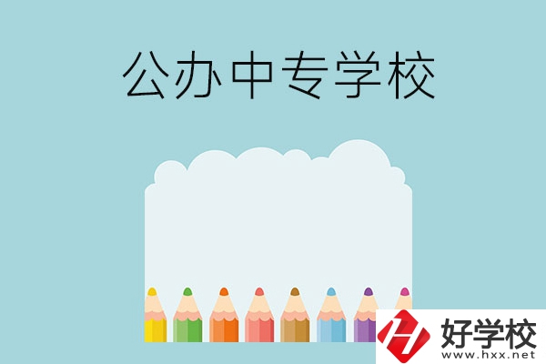 湖南地區(qū)有哪些公辦的中專學(xué)校可以推薦呢？