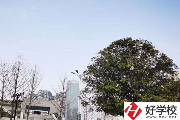 益陽科技工程學校有哪些專業(yè)？就業(yè)如何？