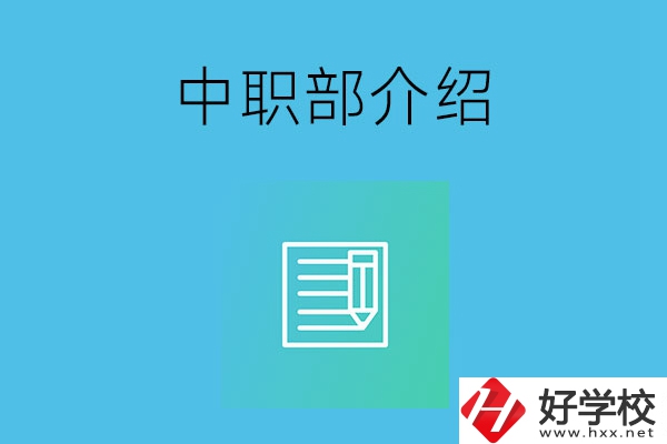 湘潭院校中職部介紹，這幾所學(xué)校你知道嗎？
