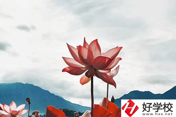 隆回華星職業(yè)技術(shù)學(xué)校有哪些專業(yè)？值得學(xué)生報考么？