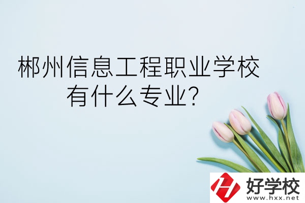 郴州信息工程職業(yè)學校有什么專業(yè)？