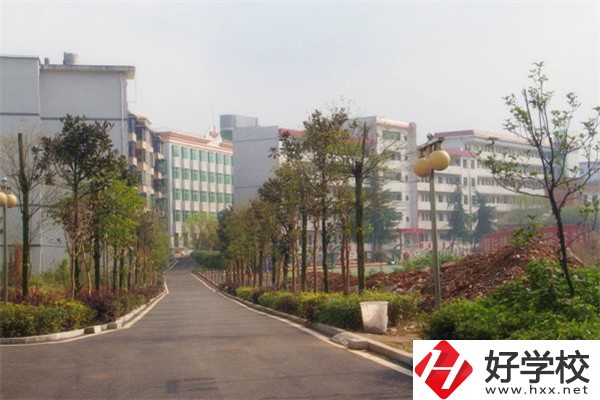 益陽有哪些高級技校？學(xué)校有什么亮點？