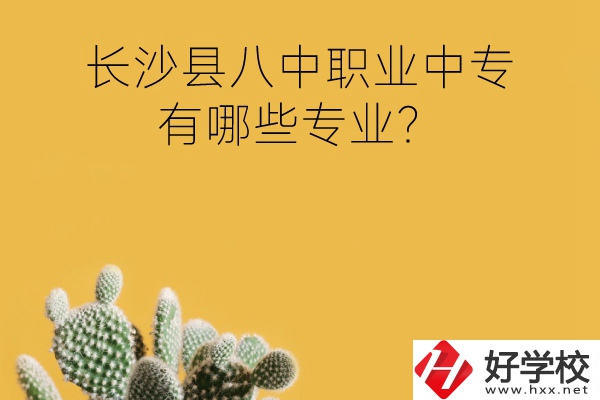 長沙縣八中職業(yè)中專好不好？有哪些專業(yè)？