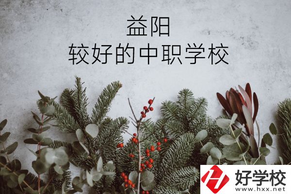 益陽(yáng)有哪些中職學(xué)校比較好？
