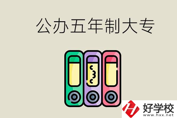 岳陽(yáng)有什么公辦的五年制大專學(xué)校？讀了有用嗎？
