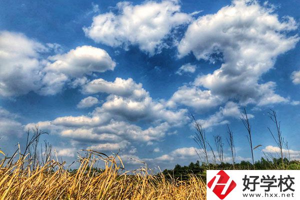 衡陽市瀟湘衛(wèi)生中等專業(yè)學(xué)校有哪些特色專業(yè)？
