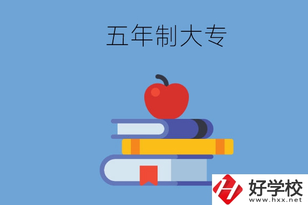 長沙開設(shè)教育類專業(yè)的五年制大專有哪些？